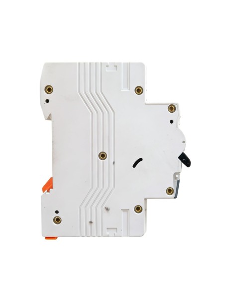 Interruptor Magnetotérmico DPN 1P+N Curva C 6A 6kA Maxge