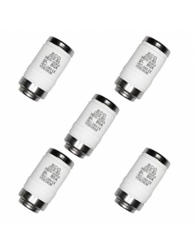 Pack 5 Fusibles Neozed D03 100A 50kA gG/gL 400V Portafusible
