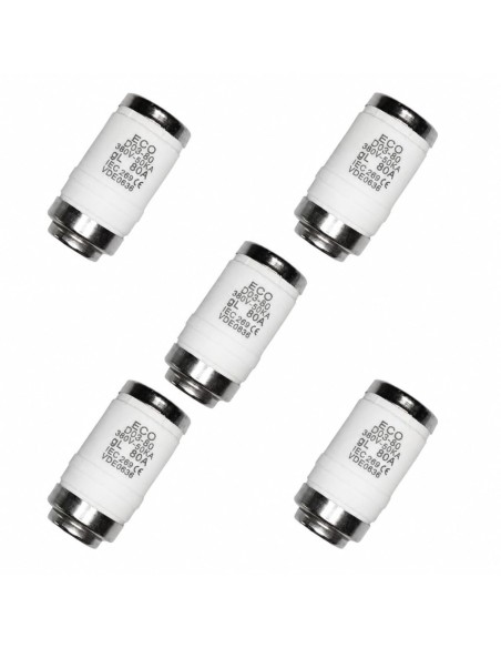 Pack 5 Fusibles Neozed D03 80A 50kA gG/gL 400V Portafusible